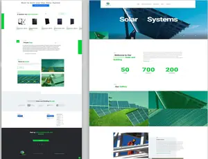 Ever Green Solar & Building